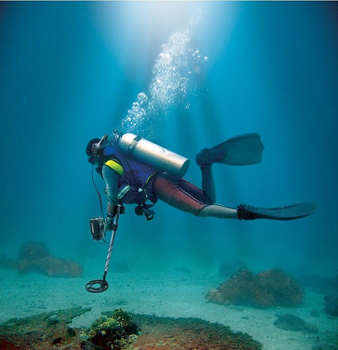 Fisher CZ-21 Quick Silver Dual-Frequency Underwater Metal Detector with 10-inch Coil