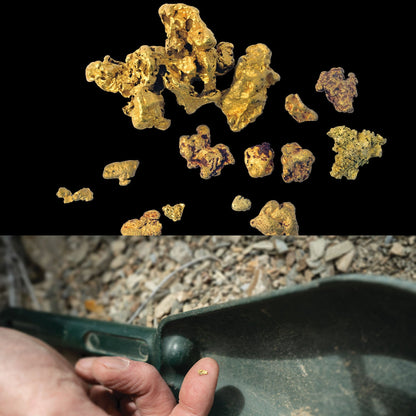 Garrett Goldmaster 24K Gold Metal Detector